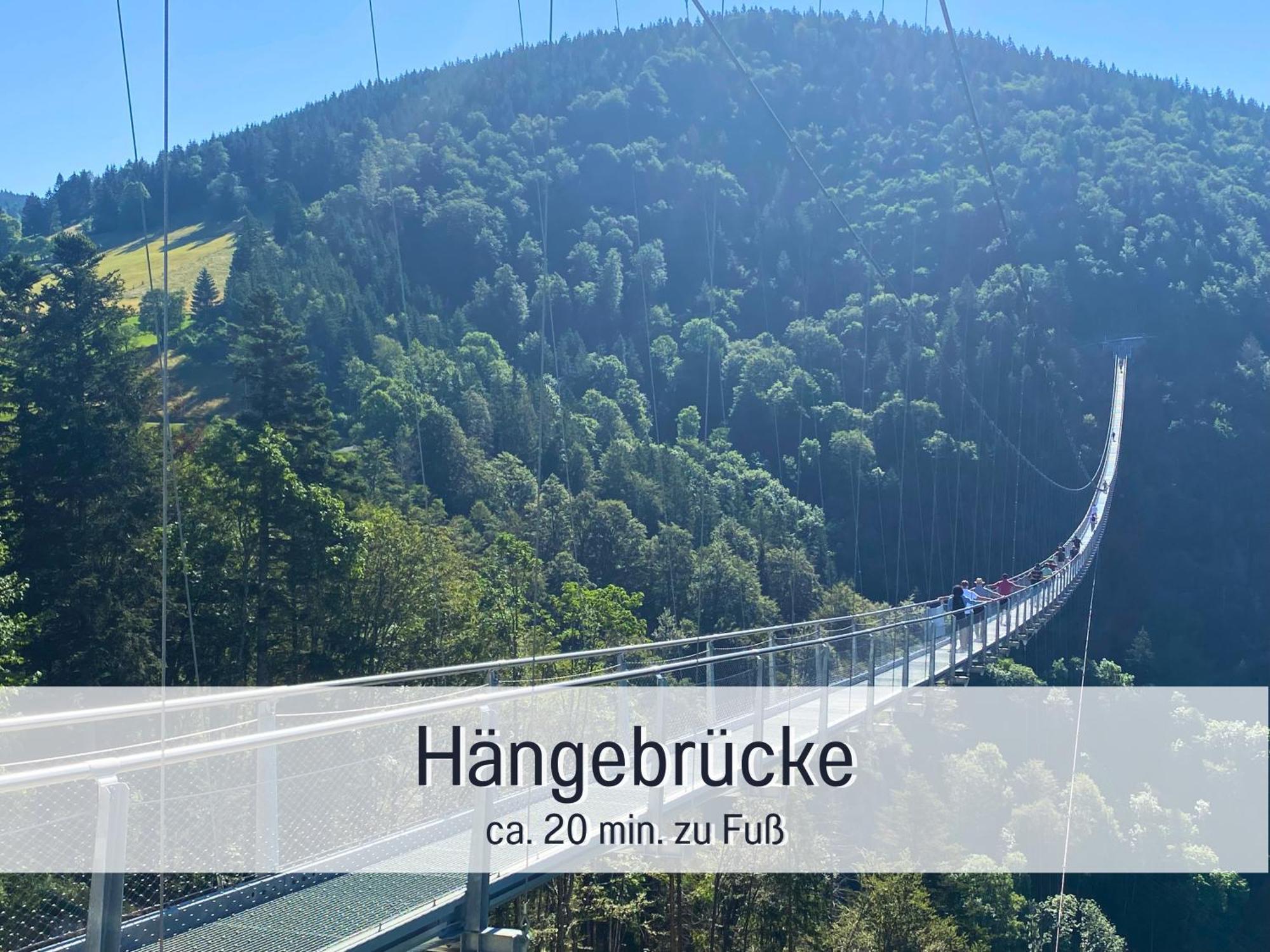 Herzgruen Direkt An Traumhaften Wanderwegen Balkon Mit Toller Aussicht Sauna Im Haus Tiefgarage E-Ladestation Todtnauberg Exterior foto