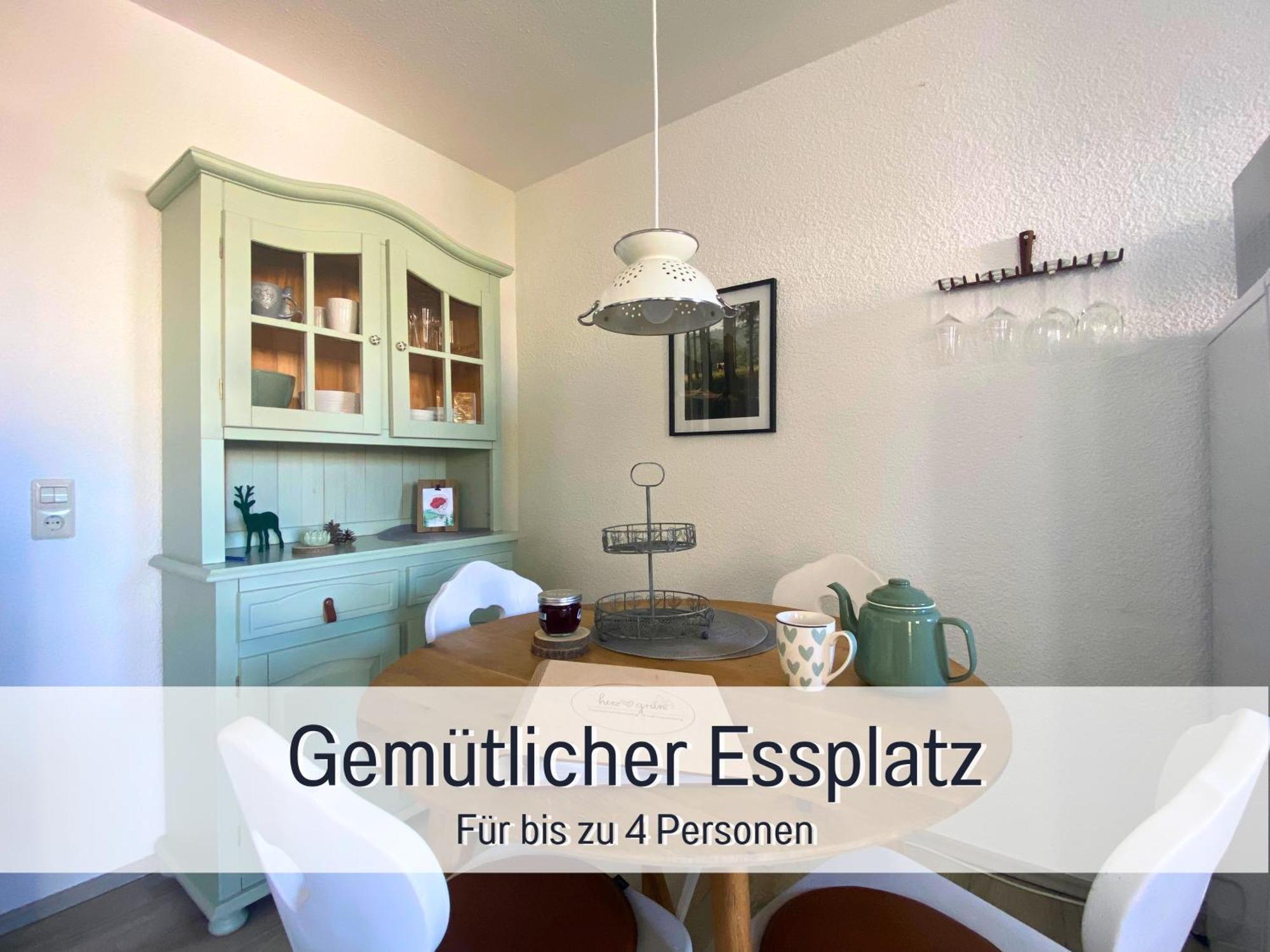 Herzgruen Direkt An Traumhaften Wanderwegen Balkon Mit Toller Aussicht Sauna Im Haus Tiefgarage E-Ladestation Todtnauberg Exterior foto