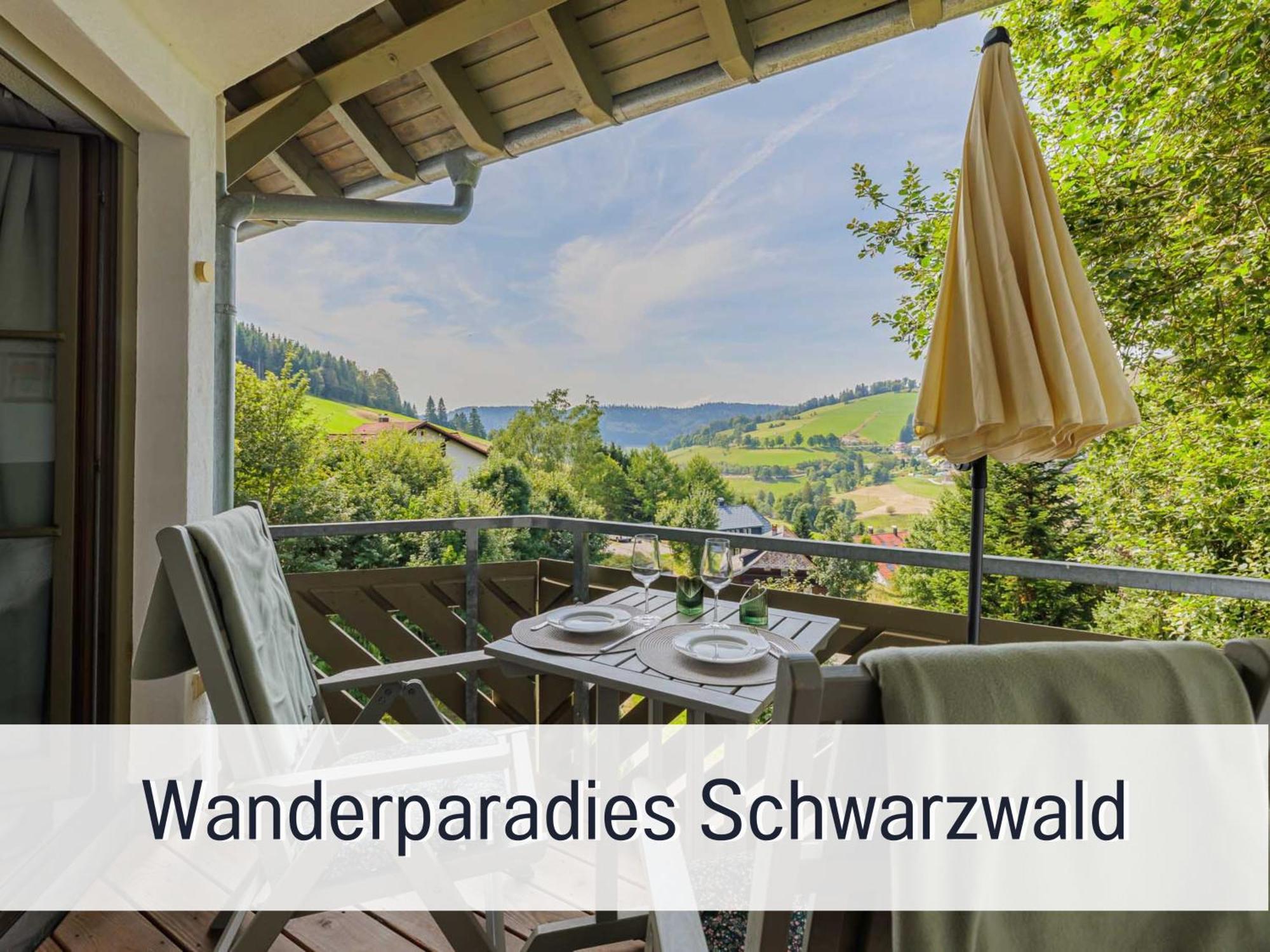 Herzgruen Direkt An Traumhaften Wanderwegen Balkon Mit Toller Aussicht Sauna Im Haus Tiefgarage E-Ladestation Todtnauberg Exterior foto